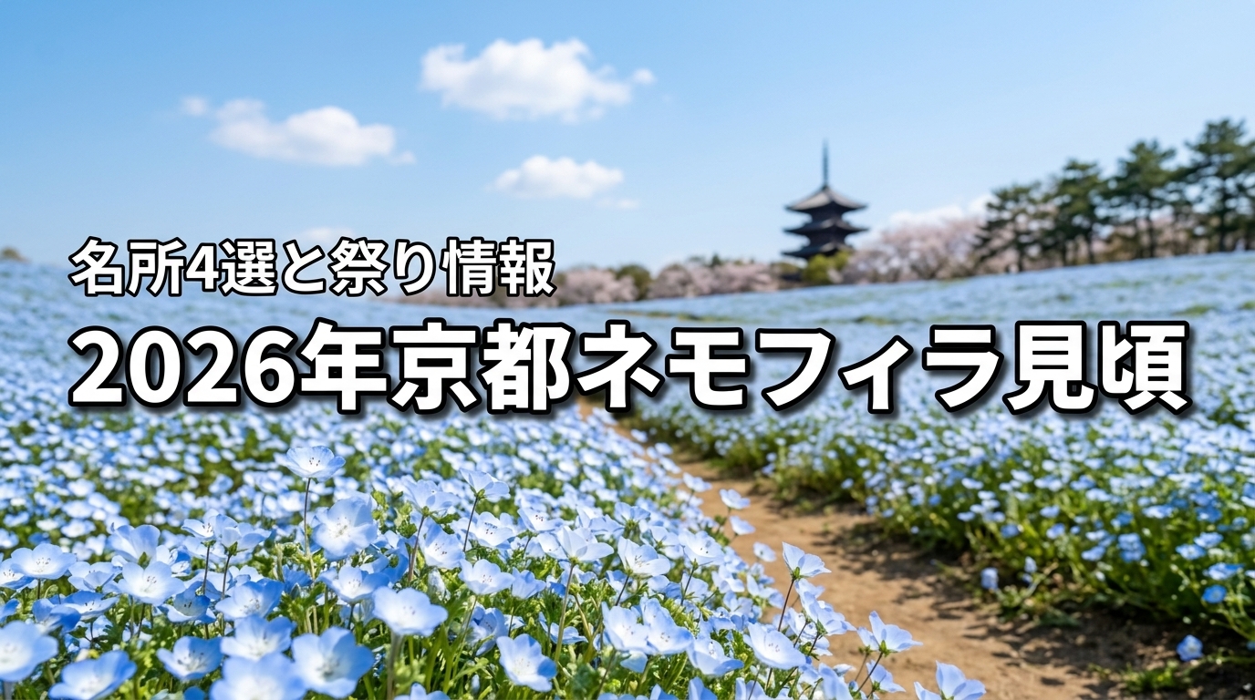 2026年京都のネモフィラ見頃はいつ？名所4選と祭りの開催情報を公開