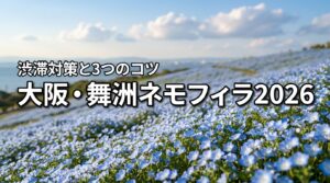 2026年大阪の舞洲シーサイドパークでネモフィラを満喫！3つの攻略法と渋滞対策