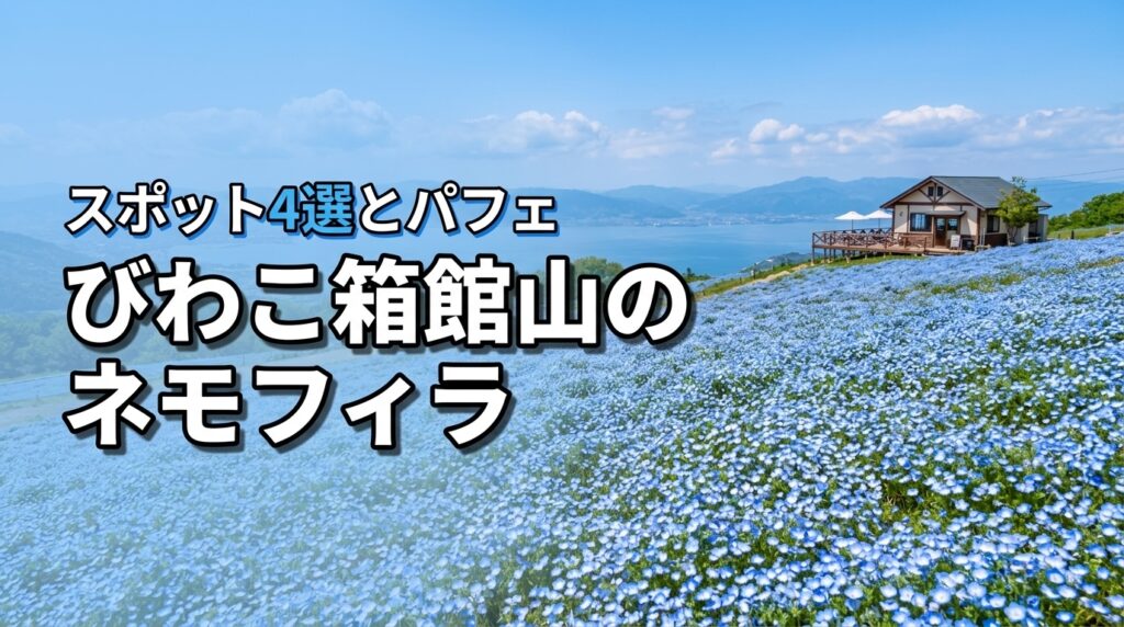 滋賀・びわこ箱館山のネモフィラ見頃はいつ？映えスポット4選と絶景パフェを堪能