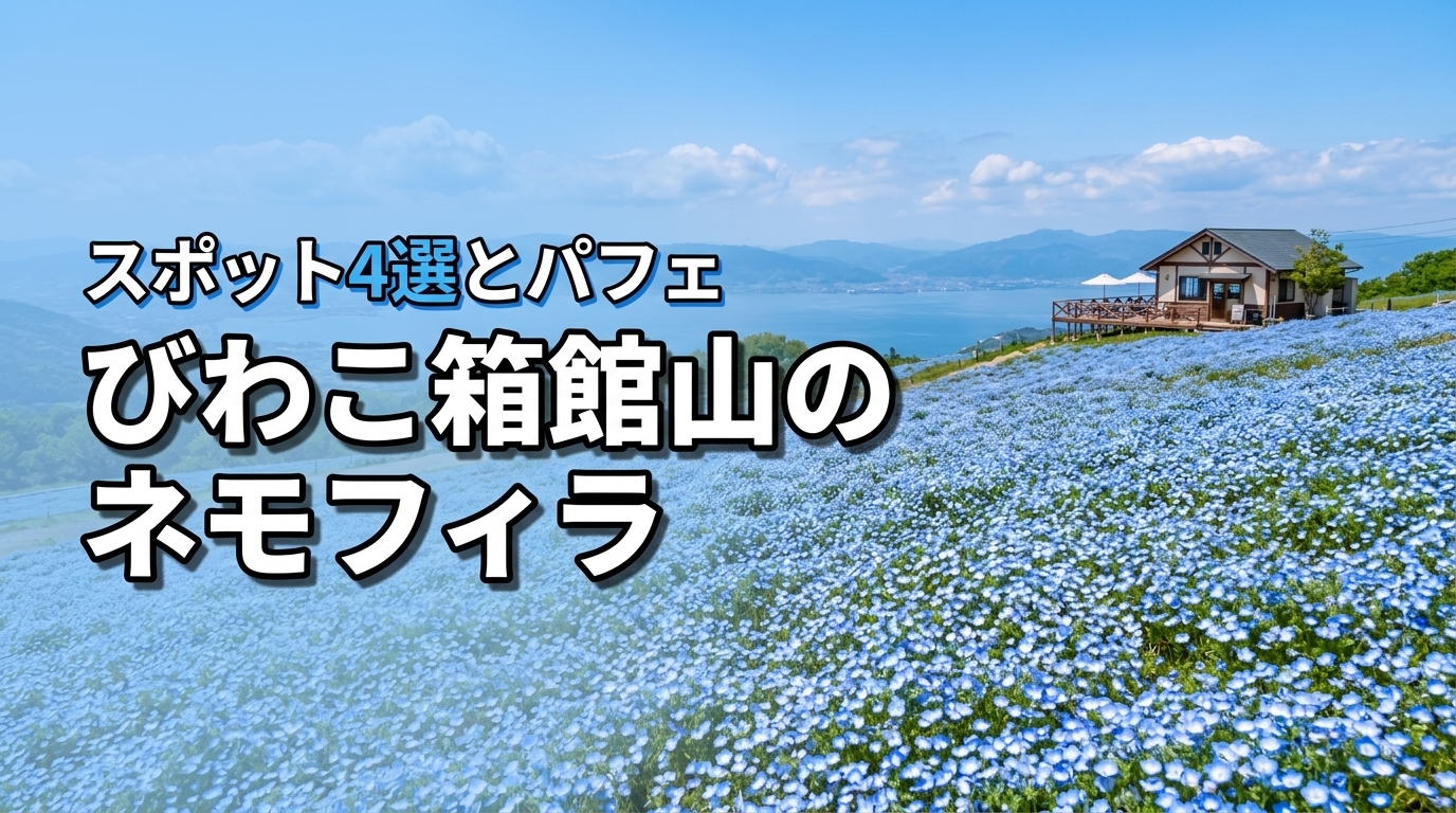 滋賀・びわこ箱館山のネモフィラ見頃はいつ？映えスポット4選と絶景パフェを堪能