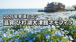 滋賀のびわ湖大津館でネモフィラを満喫！見頃や駐車場、撮影のコツ3つを伝授