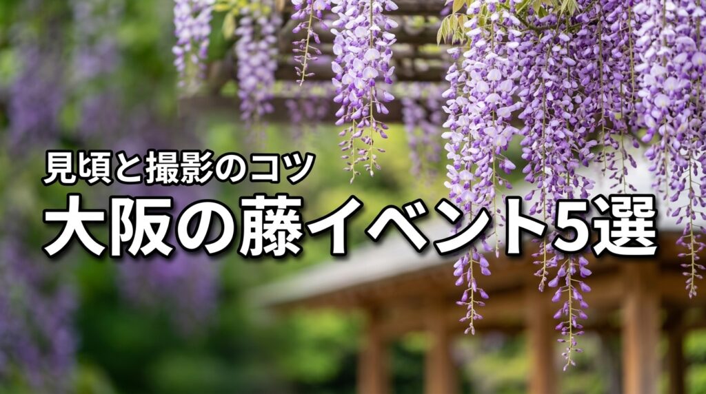 2026年大阪の藤イベント5選！最新の見頃や撮影のコツを伝授します