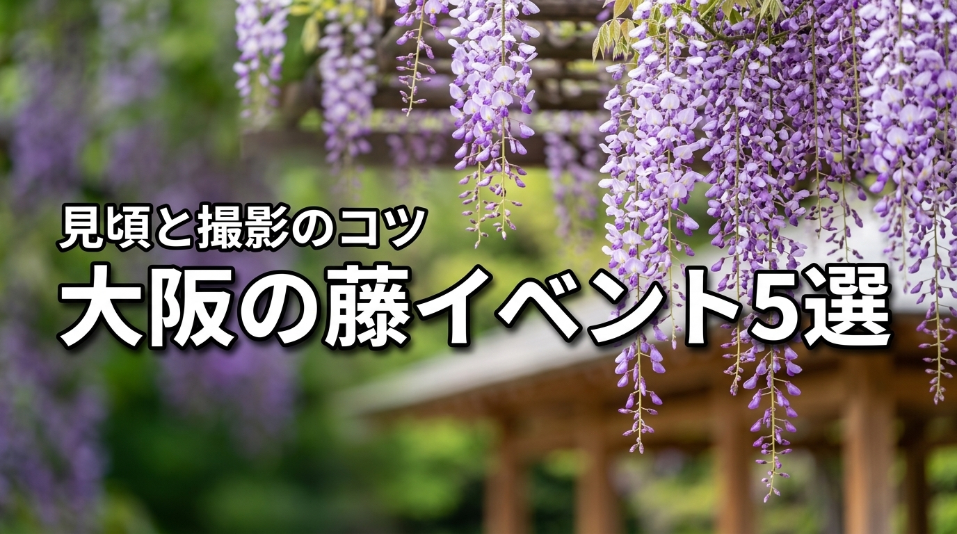 2026年大阪の藤イベント5選！最新の見頃や撮影のコツを伝授します