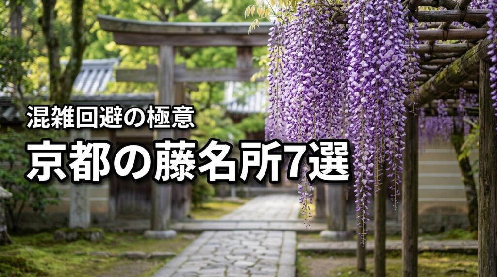京都の藤イベントと名所7選！2026年春の見頃と混雑回避の極意