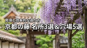 2026年最新版｜京都の藤の名所3選と穴場5選！見頃の時期や効率的な巡り方を伝授