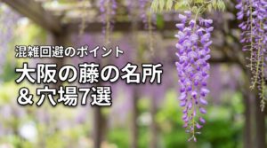 2026年最新版！大阪の藤の名所と穴場7選｜混雑回避のポイントも紹介