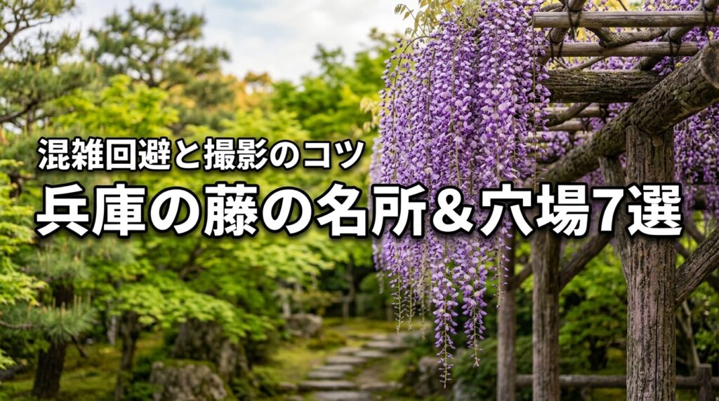 【兵庫】藤の名所と穴場スポット7選！混雑回避のコツや撮影術も紹介