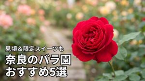 奈良のバラ園おすすめ5選！見頃の時期や限定スイーツもまとめて紹介