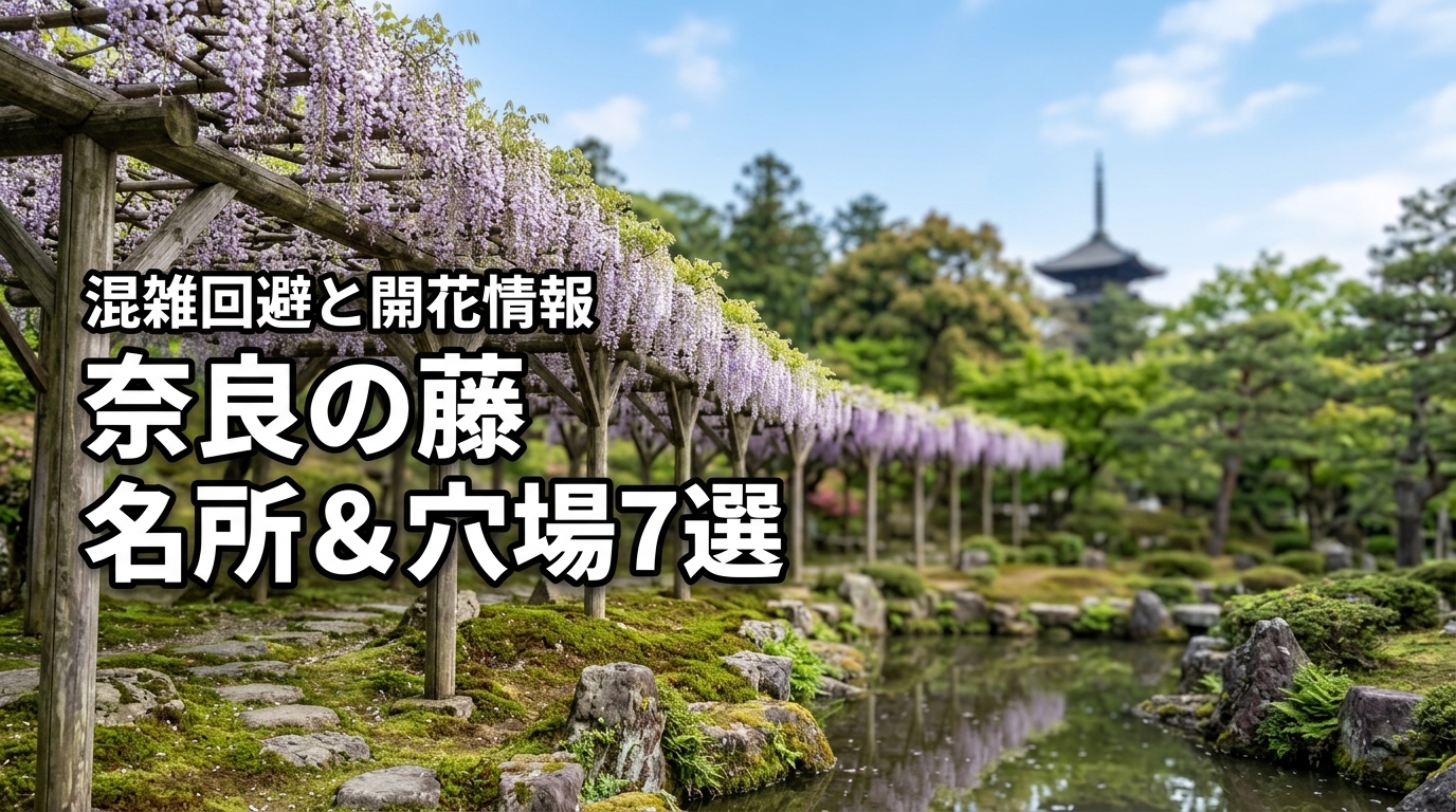 奈良の藤の名所と穴場7選！混雑回避のコツや最新の開花情報も紹介