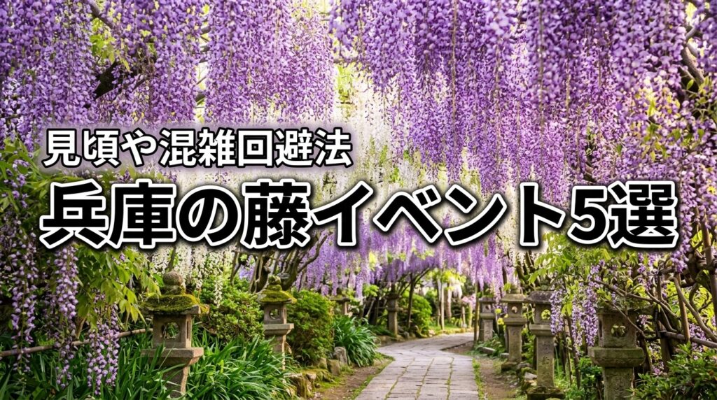 2026年兵庫の藤イベント5選！見頃や混雑回避法、周辺の観光スポットも紹介