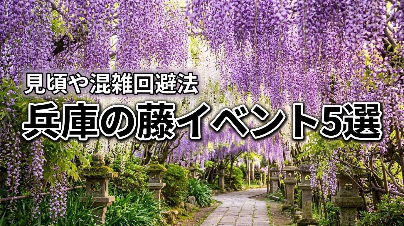 2026年兵庫の藤イベント5選！見頃や混雑回避法、周辺の観光スポットも紹介