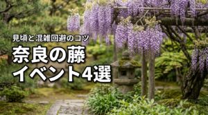 奈良の藤イベントおすすめ名所4選！見頃や混雑を回避するコツを詳しく紹介