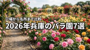 2026年最新！兵庫のバラ園おすすめ7選｜穴場から名所まで見頃も比較