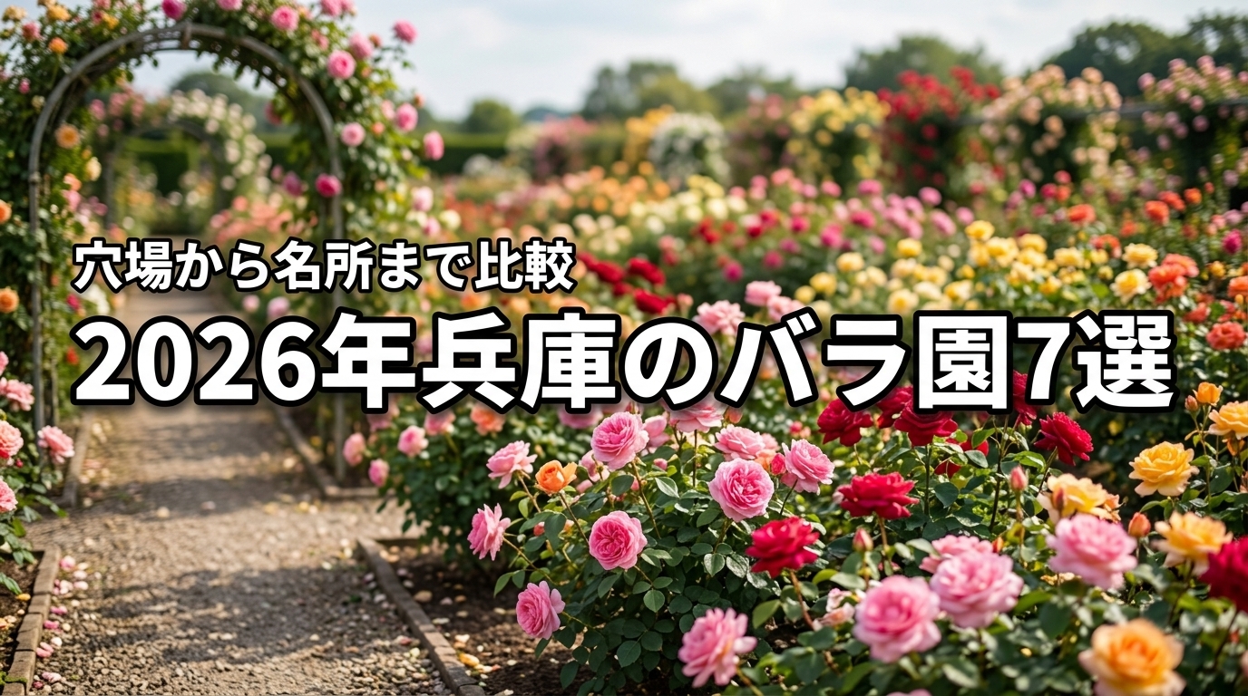 2026年最新!兵庫のバラ園おすすめ7選|穴場から名所まで見頃も比較