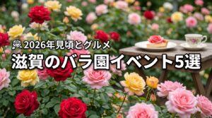 滋賀のバラ園イベント5選！見頃の時期や限定グルメも楽しむお出かけプラン