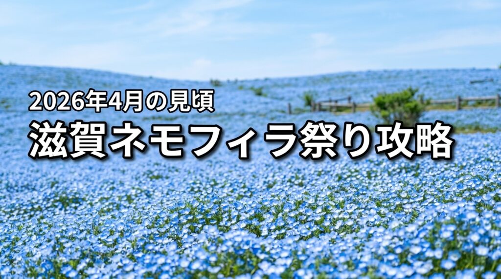【2026年】滋賀のネモフィラ見頃は4月！祭りを満喫するブルーメの丘攻略術