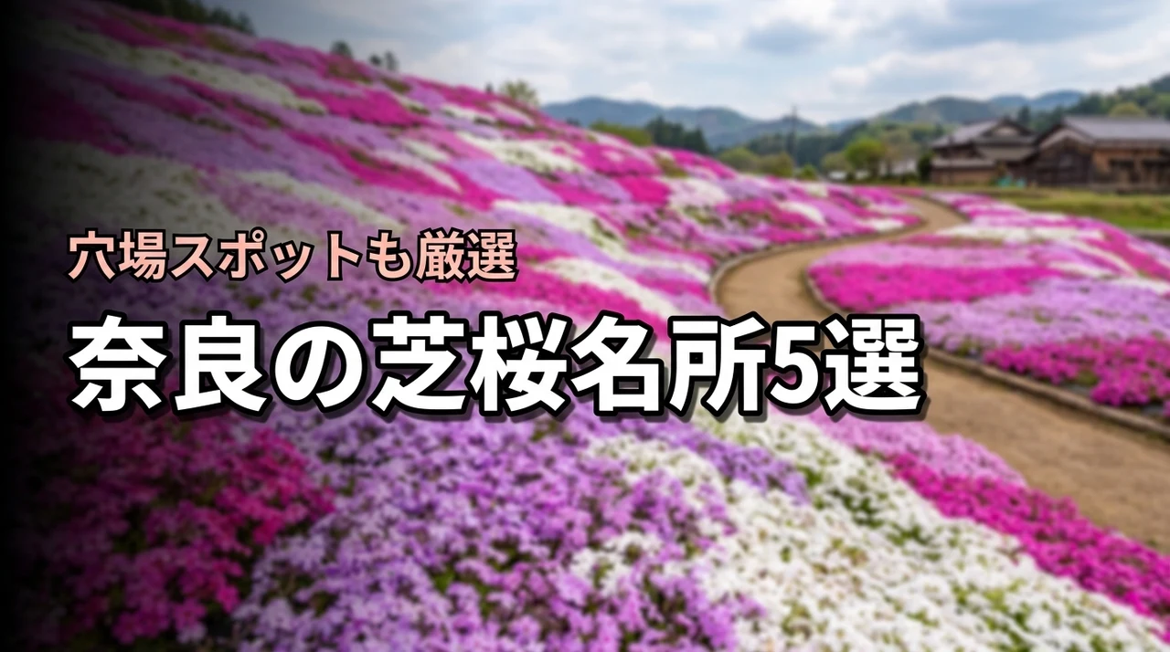 奈良の芝桜名所・穴場はここ！しあわせの森公園など5スポットを紹介