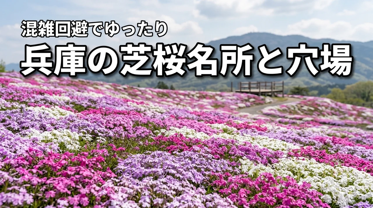 兵庫の芝桜名所、穴場はここが正解！混雑回避でゆったり鑑賞するコツ