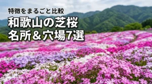 和歌山の芝桜名所4選と穴場3選をまるごと比較！見どころ解説