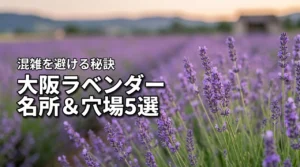 大阪のラベンダー名所・穴場おすすめ5選！混雑を避ける秘訣をご紹介