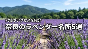 奈良のラベンダー名所と穴場5選！見どころやアクセスを一挙紹介
