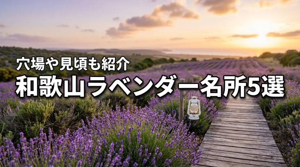 和歌山でラベンダーを楽しめる名所・穴場5選！見頃やアクセスも解説