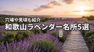 和歌山でラベンダーを楽しめる名所・穴場5選！見頃やアクセスも解説
