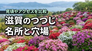 滋賀のつつじ、名所と穴場どっちがおすすめ？見頃やアクセスも解説！
