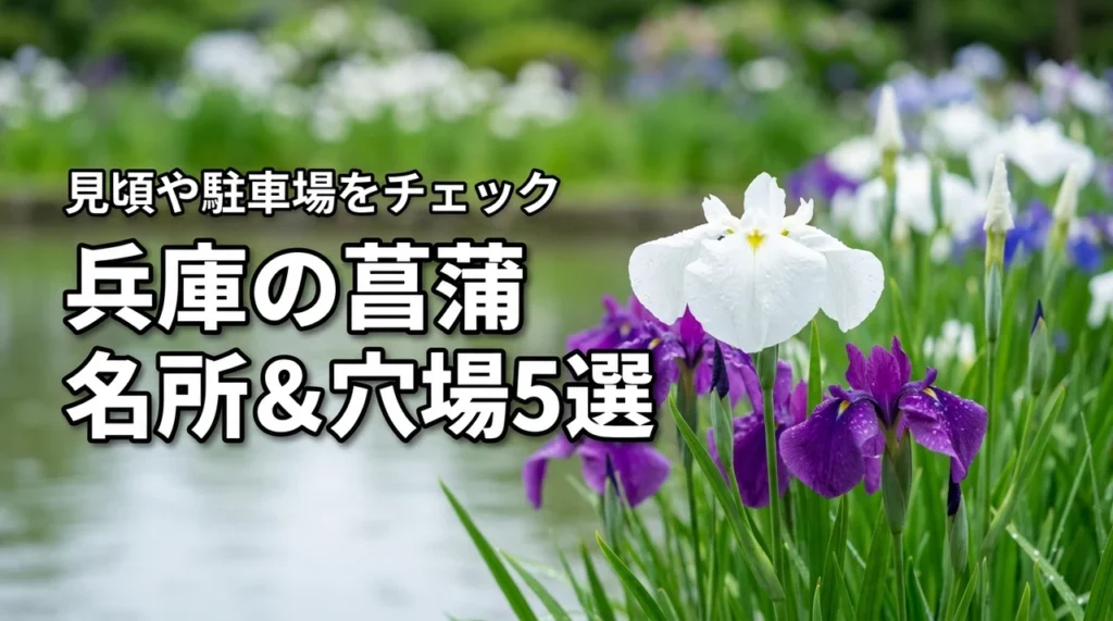 兵庫の菖蒲の名所と穴場5選！見頃や入園料・駐車場情報をまとめてチェック