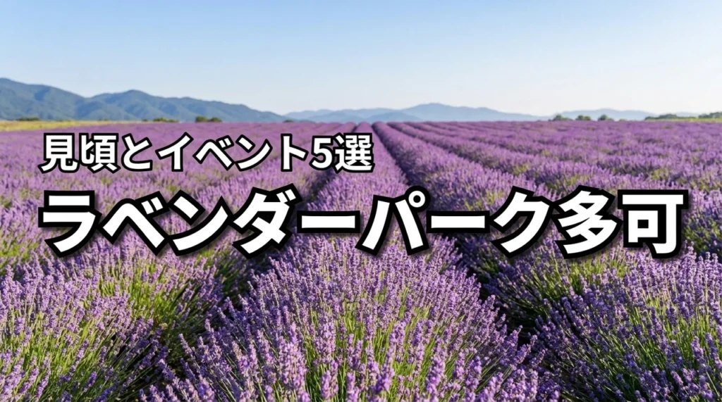 ラベンダーパーク多可の見頃とイベント5選！アクセス方法も徹底紹介