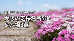 大阪の芝桜明所5選と地元民が教える穴場3選！混雑回避の3つの条件