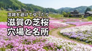 混雑が気になる人必見！滋賀の芝桜、穴場と明所でゆったり鑑賞する方法